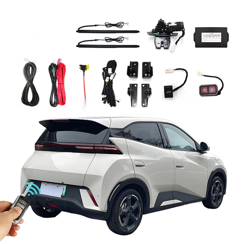 

For BYD E2 2019 - 2023 Car Rear Door Electric Lift Kit for Modification