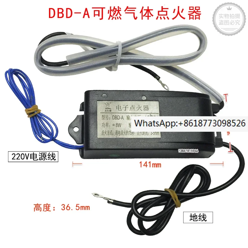 DBD-A combustible gas igniter 160V-250V/50Hz continuous discharge DBD-A igniter commercial furnace