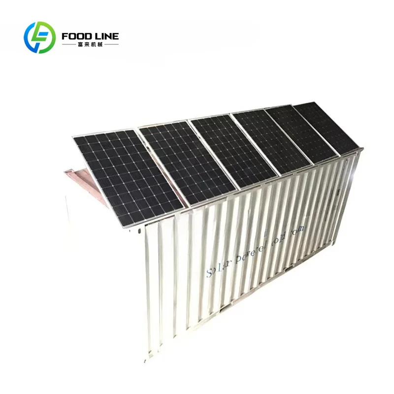 Customized Solar Cold Room Container Cold Storage Equipment Unit for Fish Meat