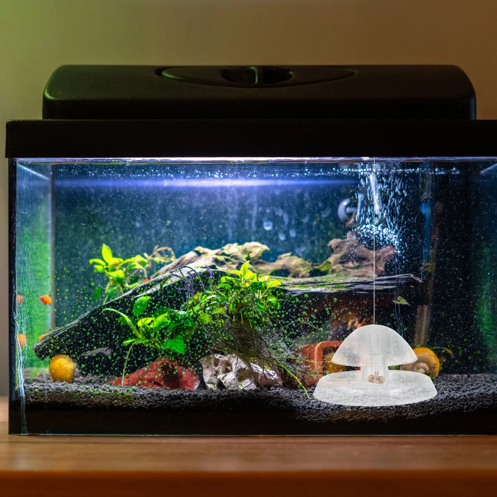 2Pcs Aquarium Snail Trap Plast - Aquarium Fish Trap 评论和价格