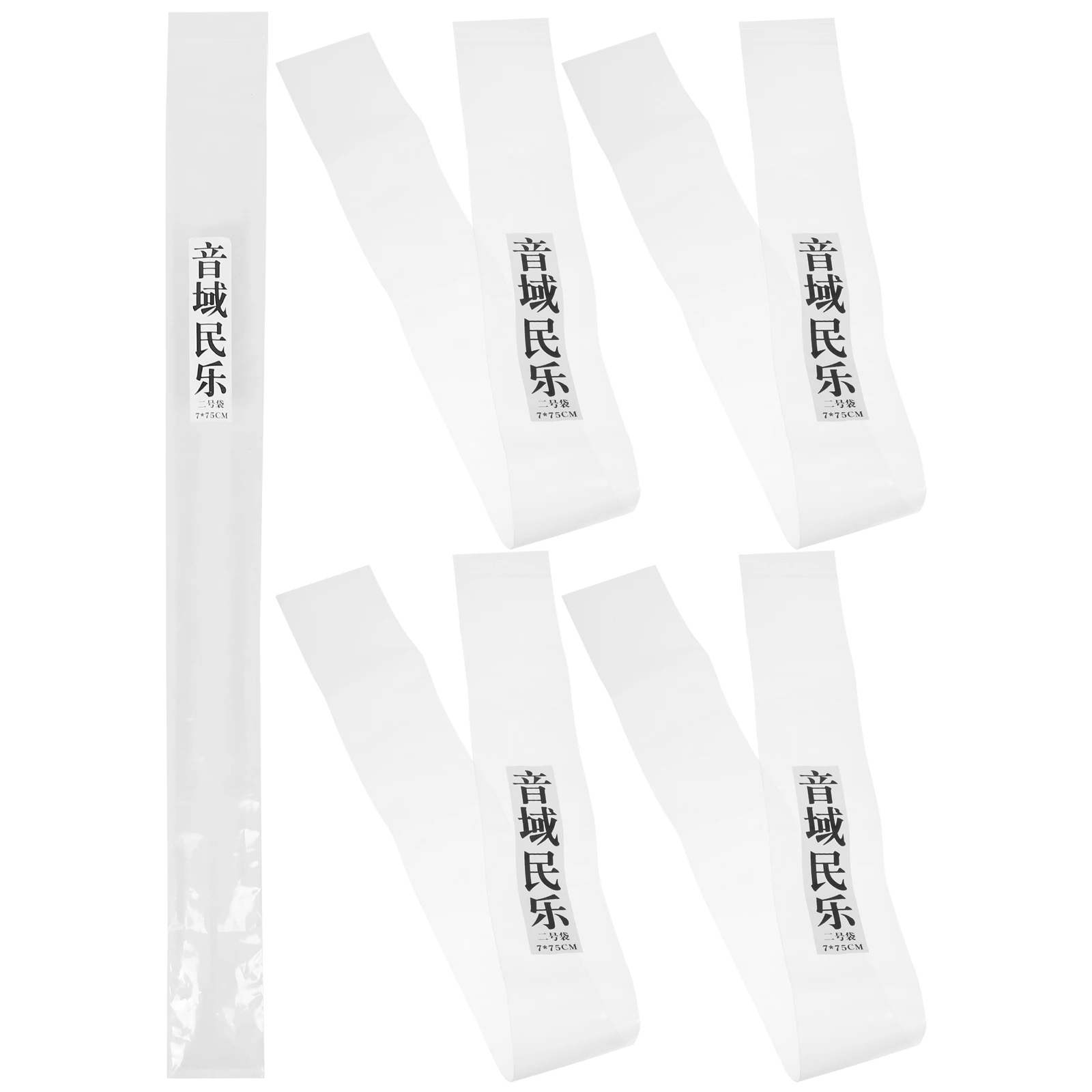 

5 Pcs Musical Instrument Flute Protection Bag Travel for Vertical Plastic Pouch Case