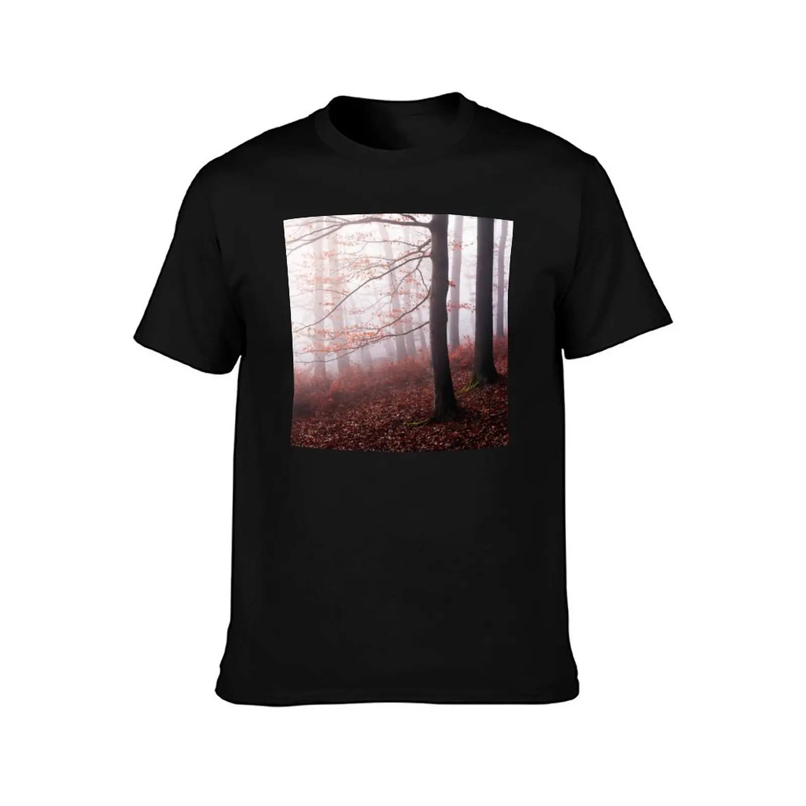 Stay With Me // Misty Autumn Fairytale Wilderness Forest With Red Leaf Trees Covered In Magic Light And Fog Series T-Shirt