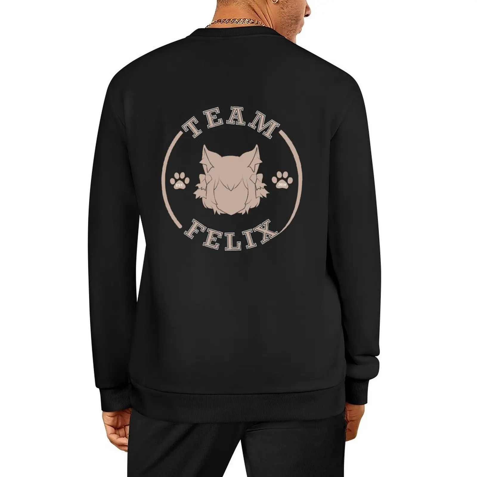

Team Felix Pullover anime clothes autumn new products graphic t shirts men men's sweat-shirt set hoody