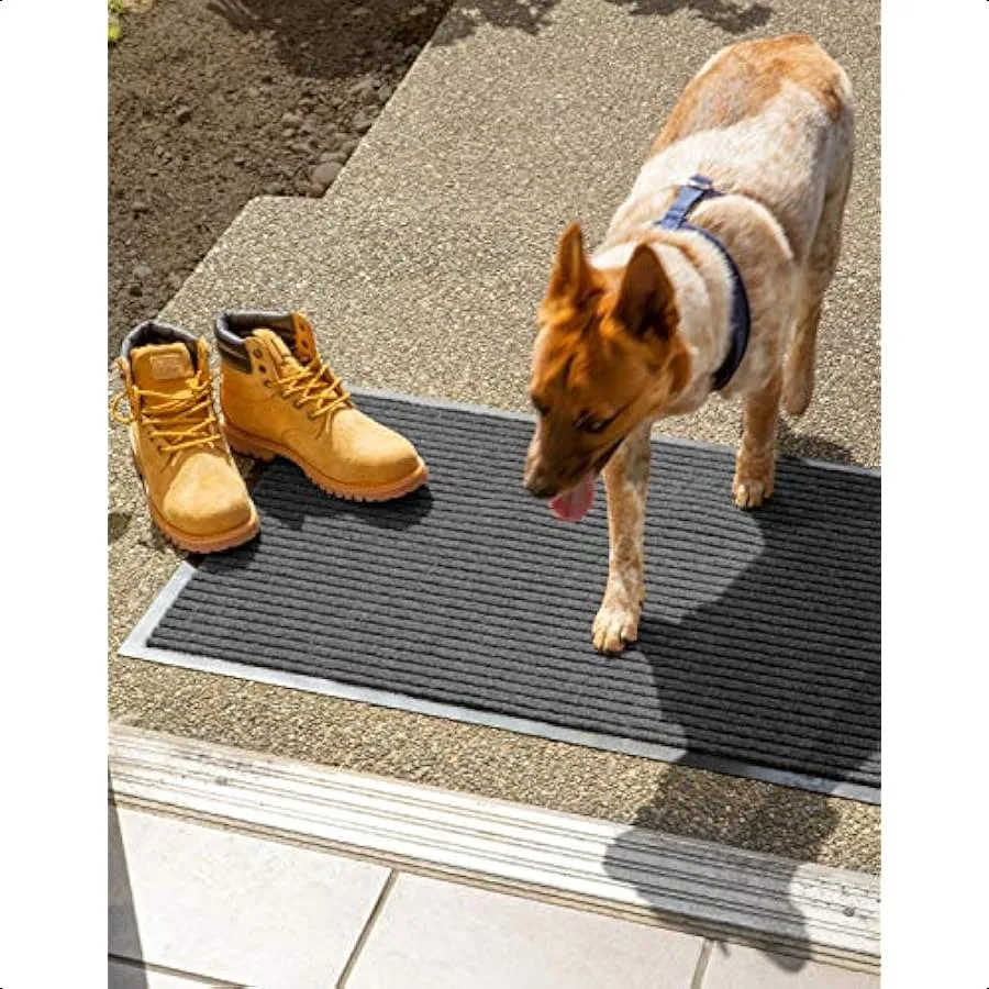 Robuster Walk Off Utility Indoor Outdoor Runner 22x60 Anthrazit