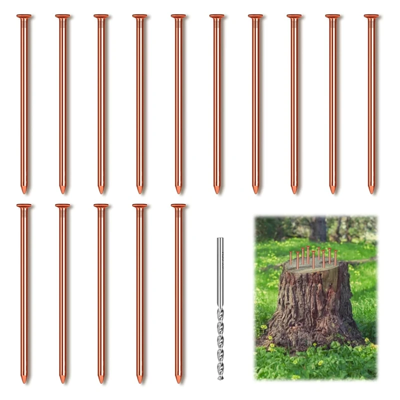 15Pcs Copper Nails For Killing Trees Stump Root, 3.14 Inch Long Pure Copper Nails With Drill, Stump Removal Spikes