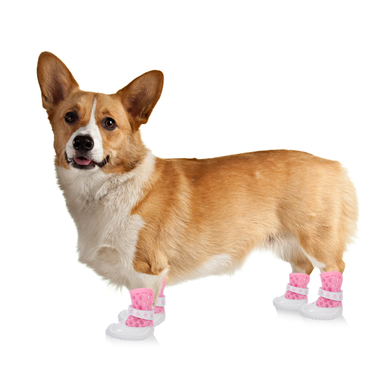 

1Set Breathable Mesh Dog Shoes Puppy Boots Paw Protectors Outdoor Hiking Summer Hot Pavement Running Puppy Boots
