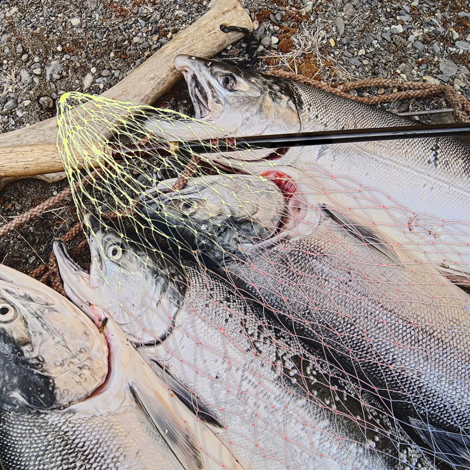 

Landing Net Fly Fishing Replacement Bag Colorful Durable Knotless Mesh Landing Mesh Basket Diameter 50cm Fishing Net