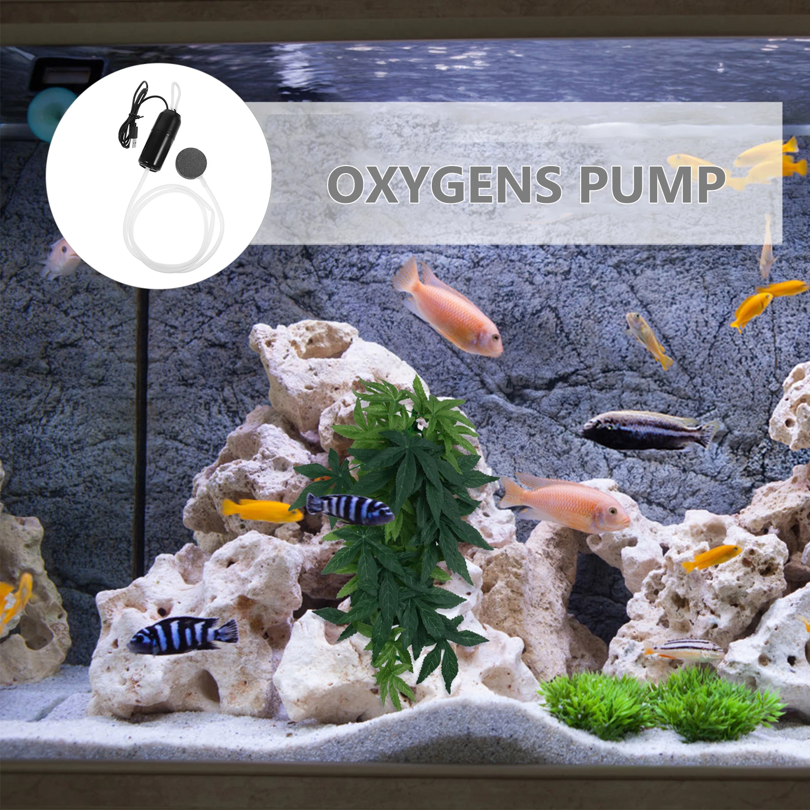 

USB Oxygen Pump Aquarium Water Tank Oxygenation for Fish Small Aerator Pump Quiet Operation Living Room Office