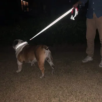 Reflective Dog Walking Training Leash 2