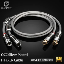 One Pair HiFi XLR Cable High Quality OCC Silver XLR Male to Female Audio Cable for Microphone Mixer