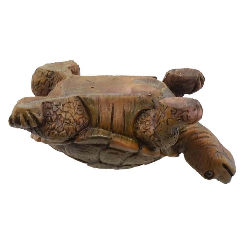 Birthday Turtle Statue 7cm X 5.6cm Brown Fengshui Garden Figurine Resin For Decorating Gardens Backyards Lawns