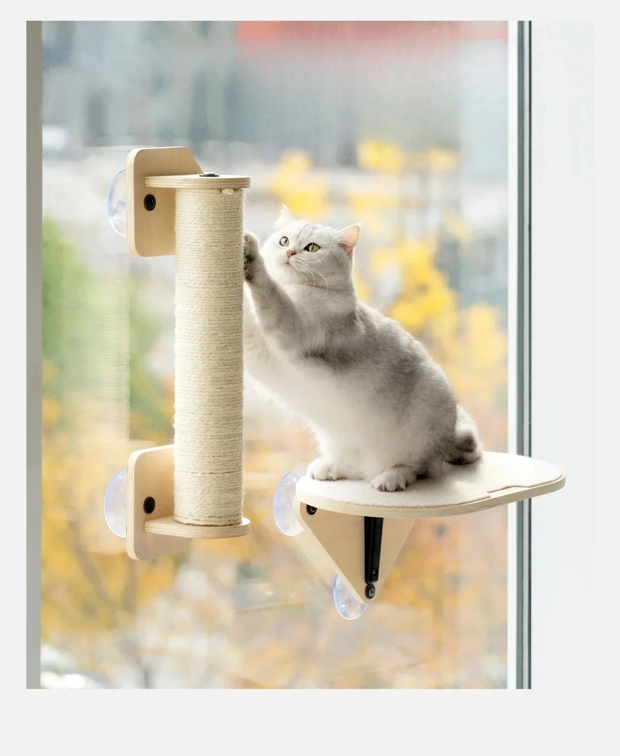 A Mewoofun Air Cat Climbing Frame Cat Window Jumping Climbing Platform Glass Suction Cup Wall Shelf Cat Scratching Post Set