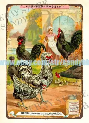 1897 poultry farm chicken turkey rooster Liebig Beef Extract metal tin sign