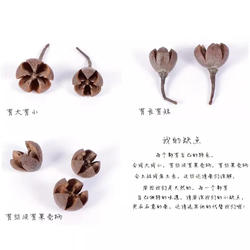 10pcs Dried Cross Plant Fruits Flower For Home Decoration Holiday Candy Boxes Bag Venue Decoration Craft DIY Accessory