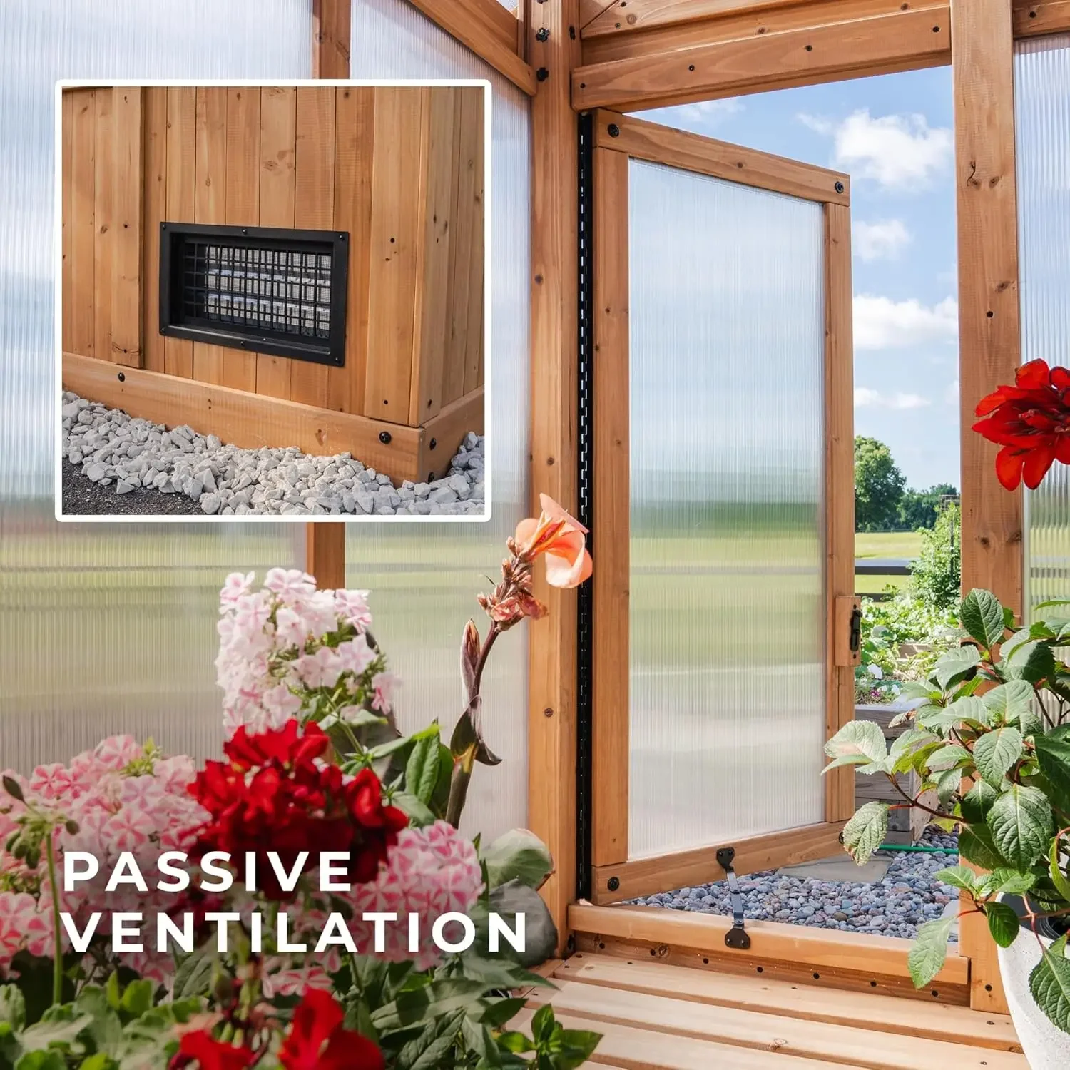 XL 13 × 11 بوصة من خشب الأرز والبولي كربونات طقم الدفيئة المشي مع العريشة، مروحة العادم، النوافذ، خطافات الخرطوم، Po