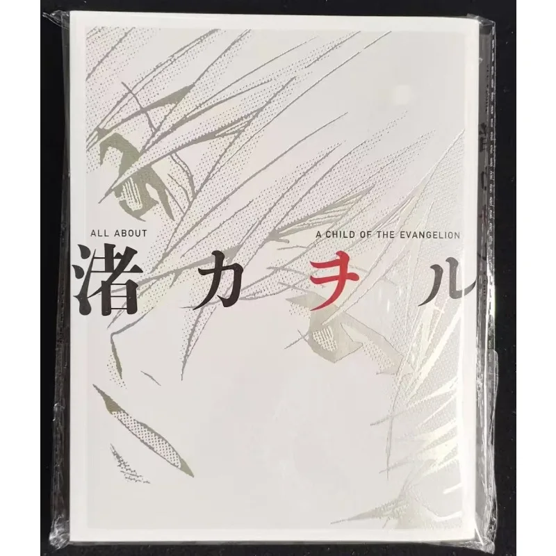 Libro de Fotos de Nagisa Kaoru 1, Libro de Arte, Ilustraciones, Versión Japonesa, TODO SOBRE KAWORU INFINITY, Colección de Ilustraciones