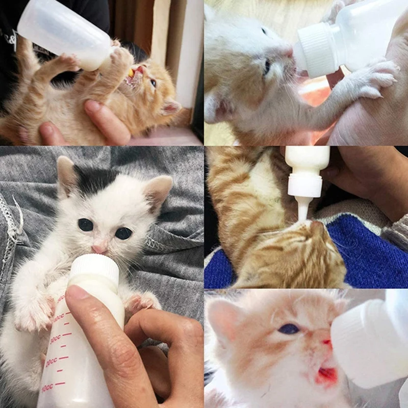 SEWS-Kits de biberones para lactancia de mascotas, tetina de repuesto para alimentación de gatos, para gatitos recién nacidos, cachorros, conejos y animales pequeños