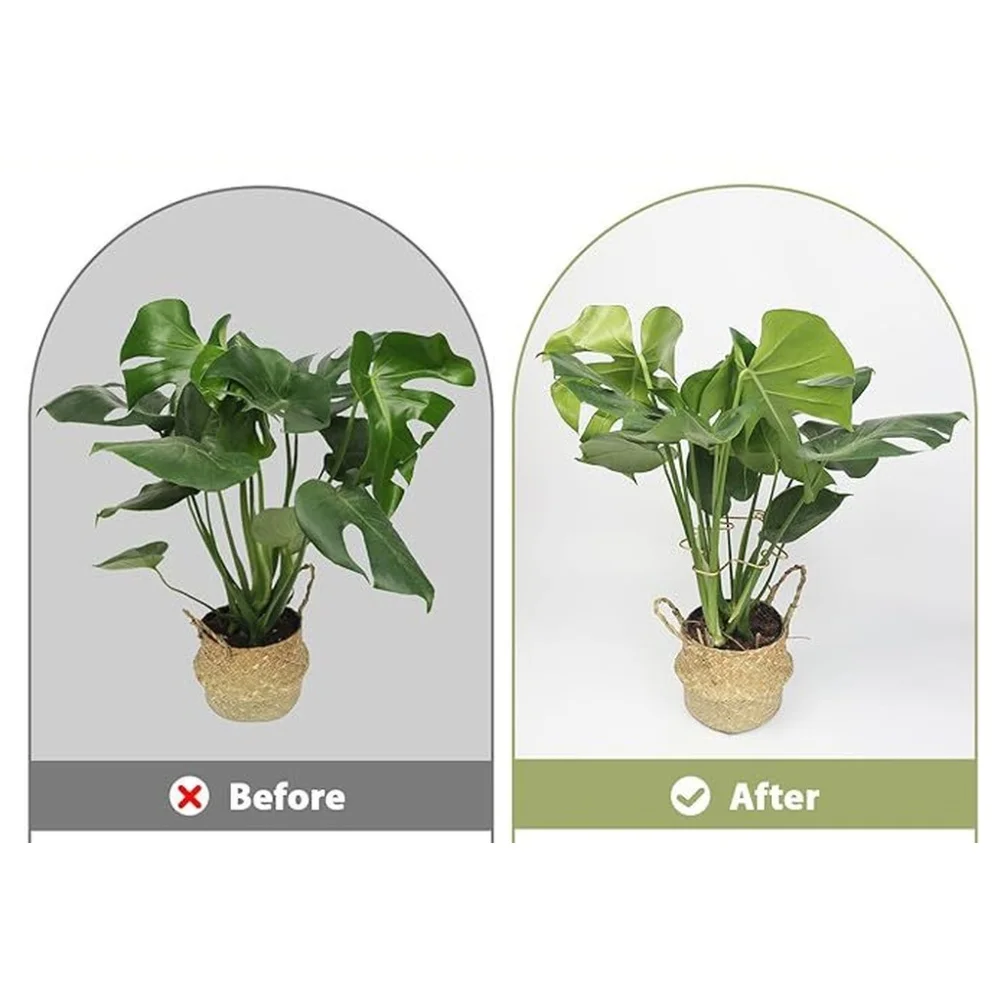 Leaf Themed Metal Plant Support Set 6 Pieces for Climbing Varieties Needing Directional Growth in Limited Area Gardens