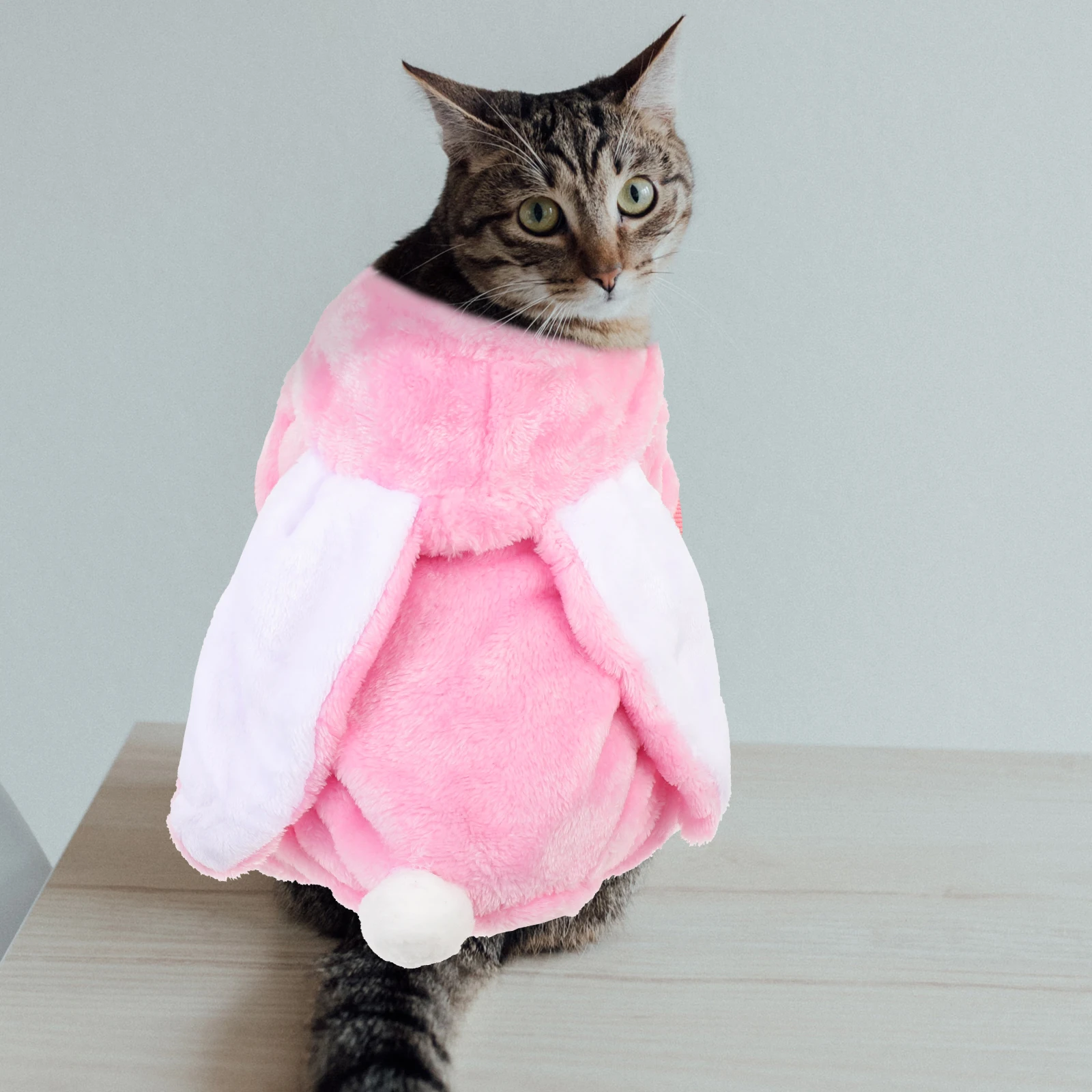 

Coral Fleece Cat Dog Clothes Adorable Rabbit Ear Jacket Comfortable Pet Coat Party Walking Outfit Size Xs Pet Clothes