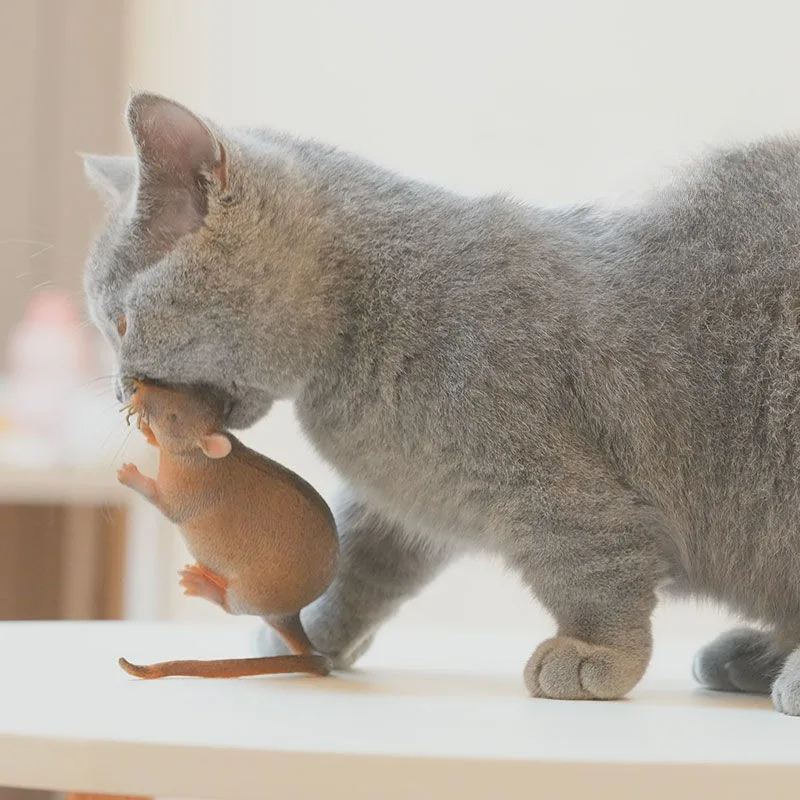 Realistisches Katzen-Maus-Spielzeug, weicher Gummi-Teaser mit bissfestem Design für Kätzchen, Molaren, Training, Spielen, interaktives Haustierspielzeug