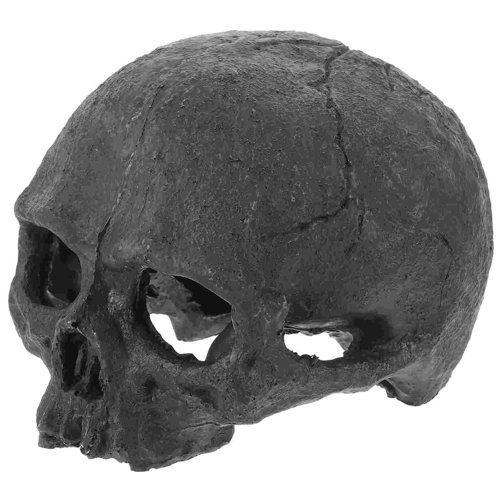 

Halloween Skull Resin Ornaments Lizard Tank for Reptile Snake Hide Fish Hiding Cave