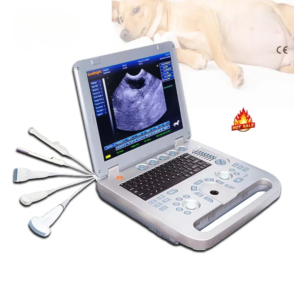 Diagnostic Ultrasou… - image