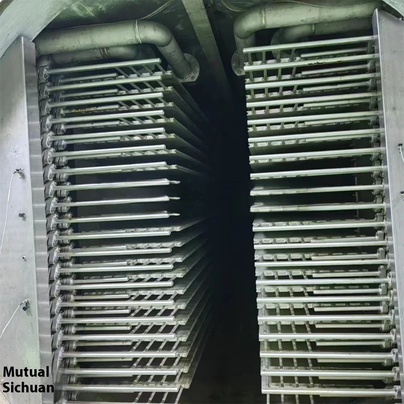 Medicina tradizionale cinese su larga scala, linea di produzione di macchine per liofilizzazione a bassa temperatura sottovuoto completamente automatica per