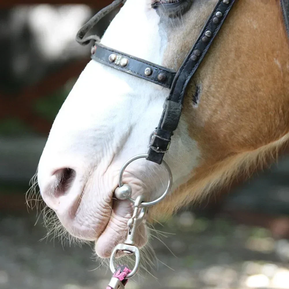 Broca de caballo para esquinas de boca sensibles, Material de acero inoxidable, óxido duradero, cómoda y segura para equipos de caballos, 1 ud.