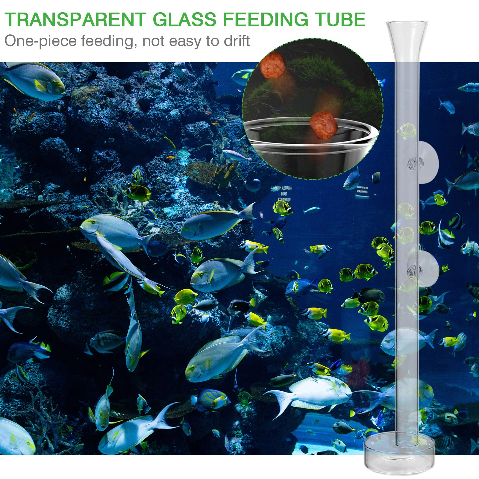 

1Set Shrimp Feeding Tube Aquarium Feeder Transparent Glass Fish Tank Tool Adjustable Spot Feeding for Dwarf Crystal Red Shrimp