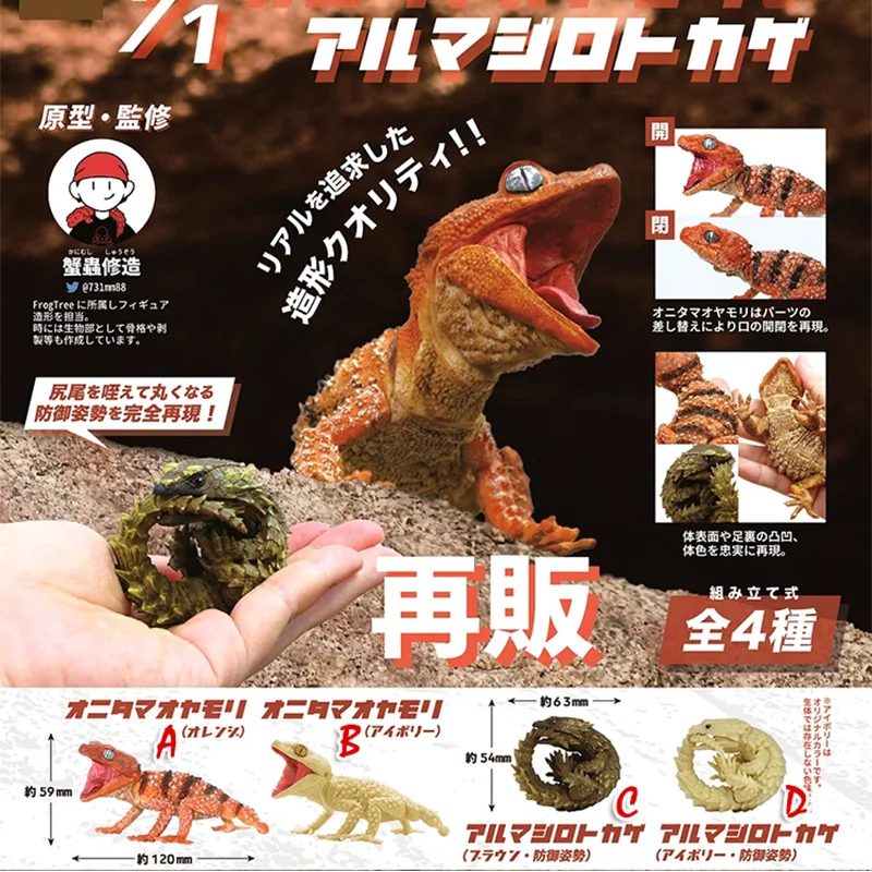 SO-TA Gashapon Capsule Toys Insect Creature Kawaii 1/1 Movable Lizard Armadillo Models Cute Action Figure For Kids Gift