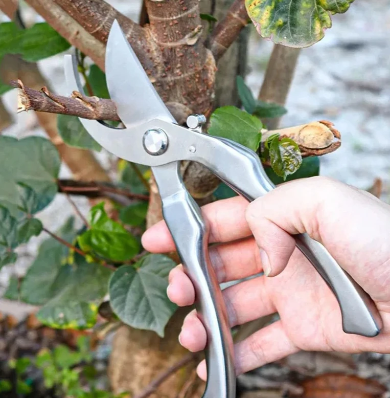 Cesoie da potatura da giardino interamente in acciaio, potatrice a gomito con rimbalzo automatico e set di forbici per la raccolta della frutta, strumento da giardinaggio durevole