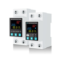 Tuya Smart WIFI 2P 1-63A Adjustable Circuit Breaker Earth Leakage Over Under Voltage Protector Relay Switch Energy kWh Meter