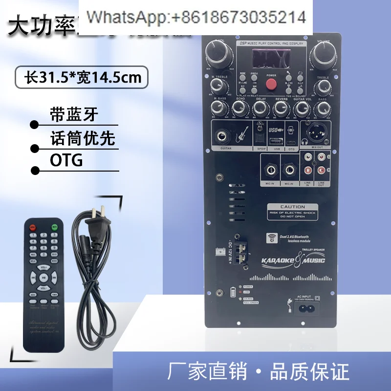 DSP High Power Square Dance Audio Outdoor Bluetooth Amplifier Board Mono Speaker Modified Main Board with OTG for Karaoke view 2