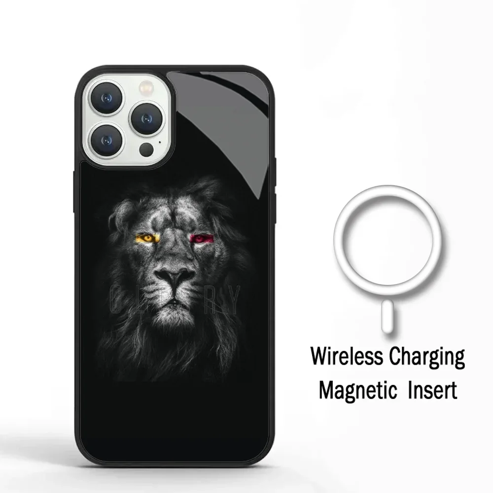 Galatasaray Aslan Phone Case For IPhone 11 12 13 14 15 Plus Pro Max Mirror Acrylic Cover For Magsafe Wireless Charging