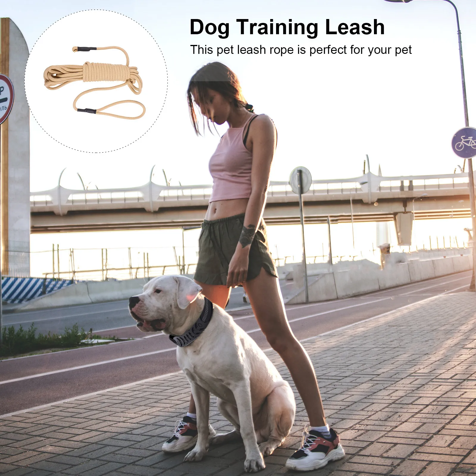 

10-метровый сверхпрочный поводок для дрессировки собак, для прогулок на улице на больших расстояниях, устойчивый к укусам, износостойкий, для крупных питомцев