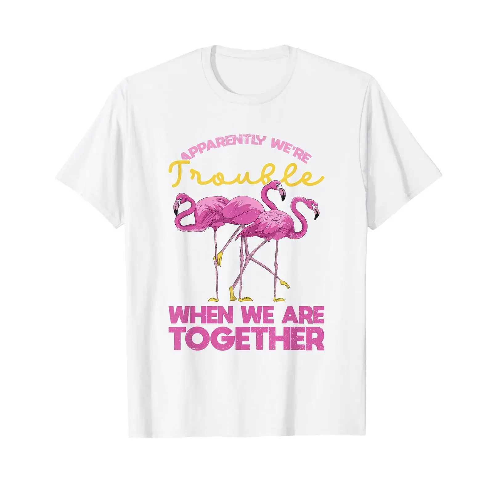 Apparently were Trouble When We are Together Funny Flamingo T Shirt vintage Washed Unisex Top For Everyday Wear Slightly