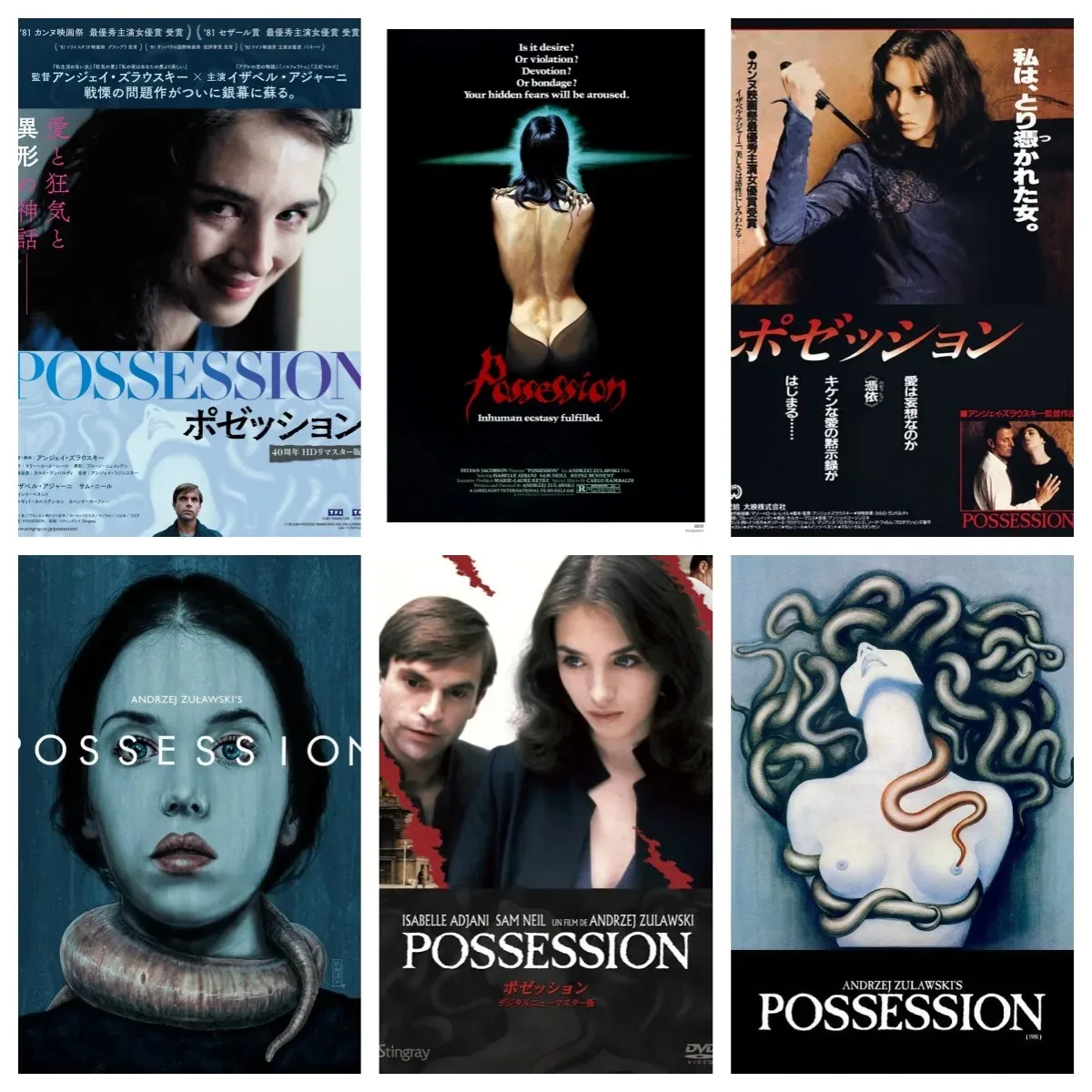 Advanced Sense Film Possession 1981 Movie Poster Wall Art Canvas Painting Home Decor for Bedroom