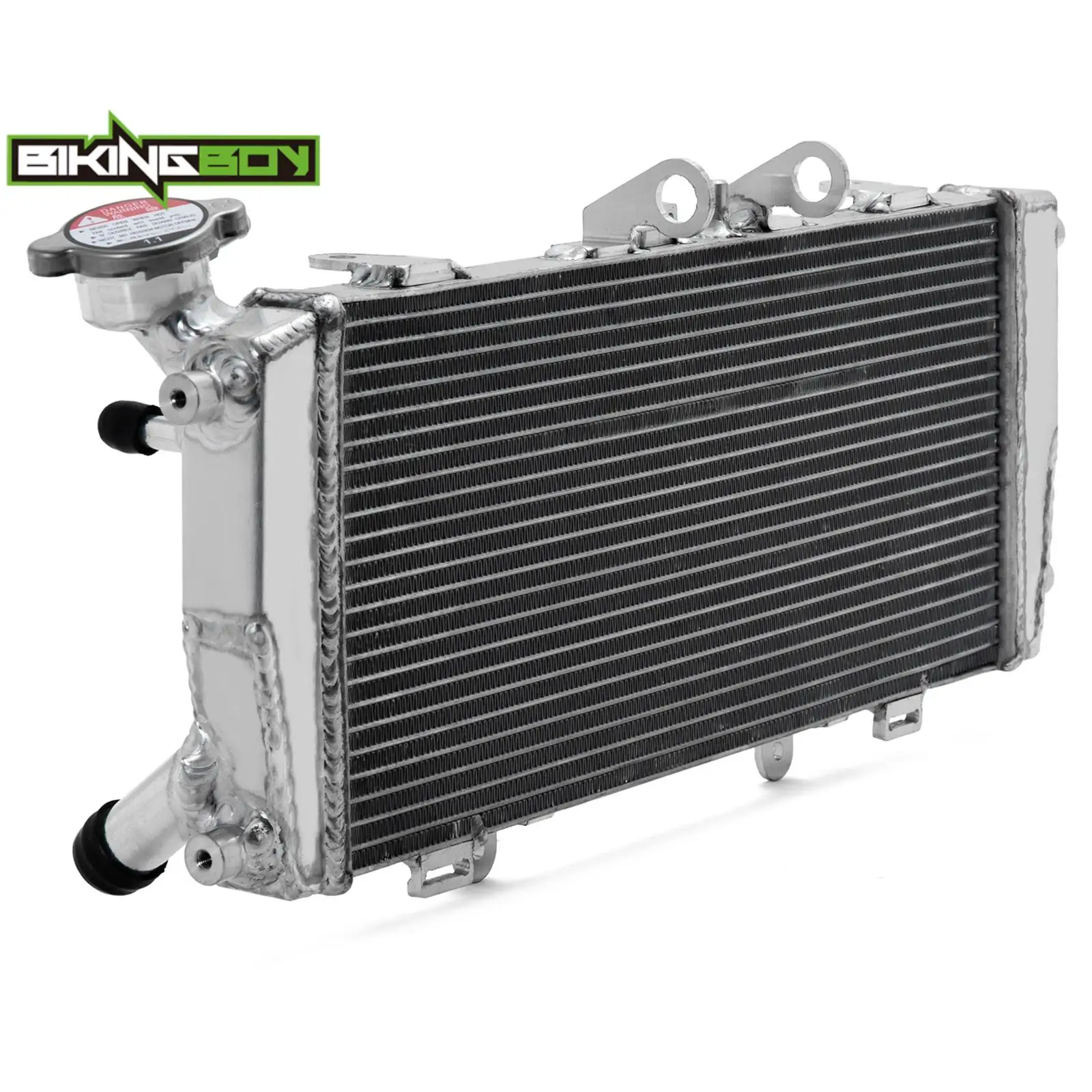 BIKINGBOY For BMW R1200R 14 15 17 18 R1200RS 2015-2018 R1250R R1250RS 18 19 20 21 22 23 24 Engine Radiator Cooling Water Cooler