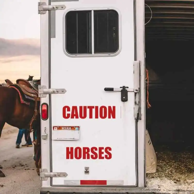 Caution Horses Trailer Decal, Livestock Safety Vinyl Sticker, Removable, Waterproof, Customized Wallpaper Q190