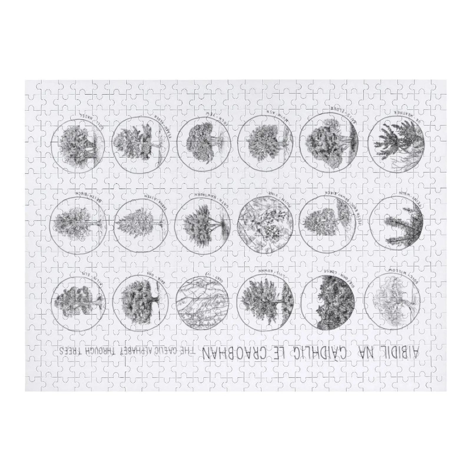 

Aibidil NaOh Le Craobhan Jigsaw Puzzle Custom Wooden Name Photo Custom Jigsaw Pieces Взрослые деревянные головоломки для взрослых