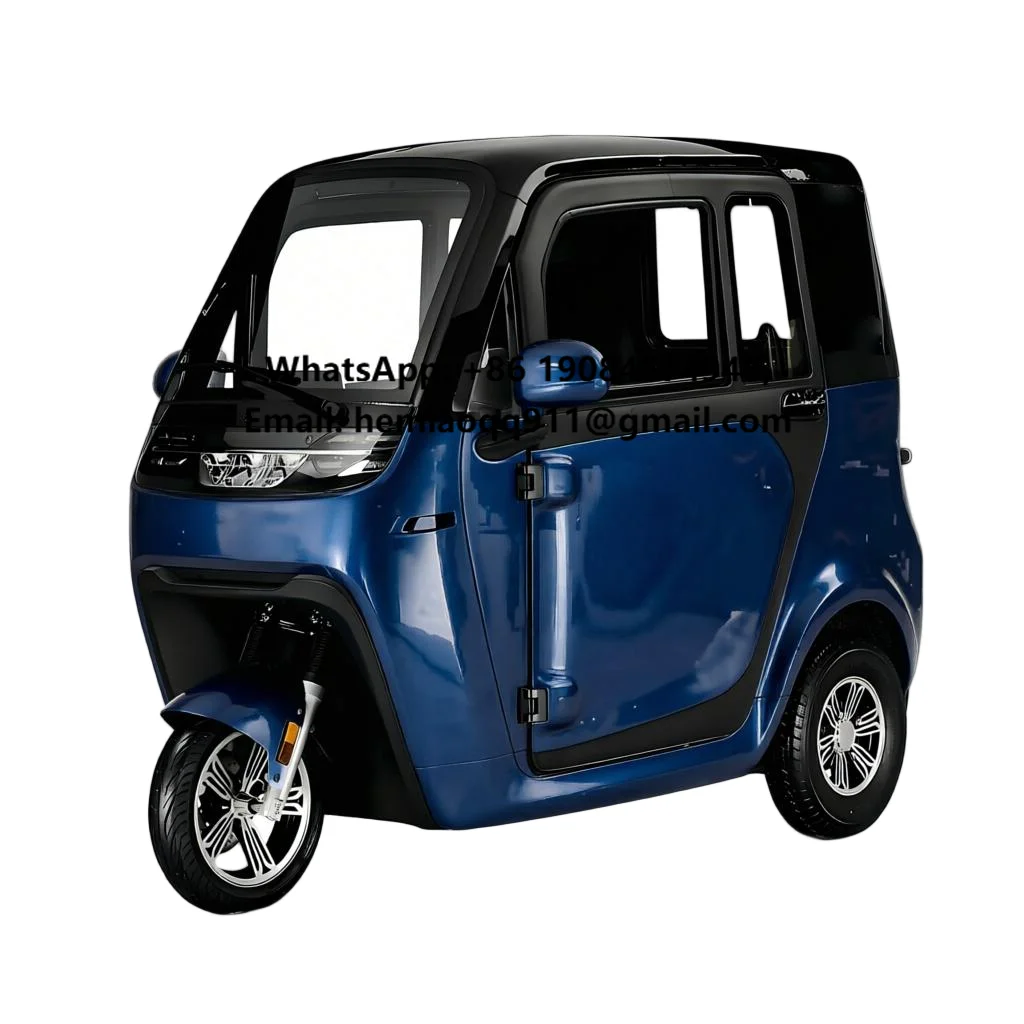 Small Electric Scooter Fully Enclosed Mobility Electric Tricycles with 3 Wheels 25km/h for Passenger Use Made in China