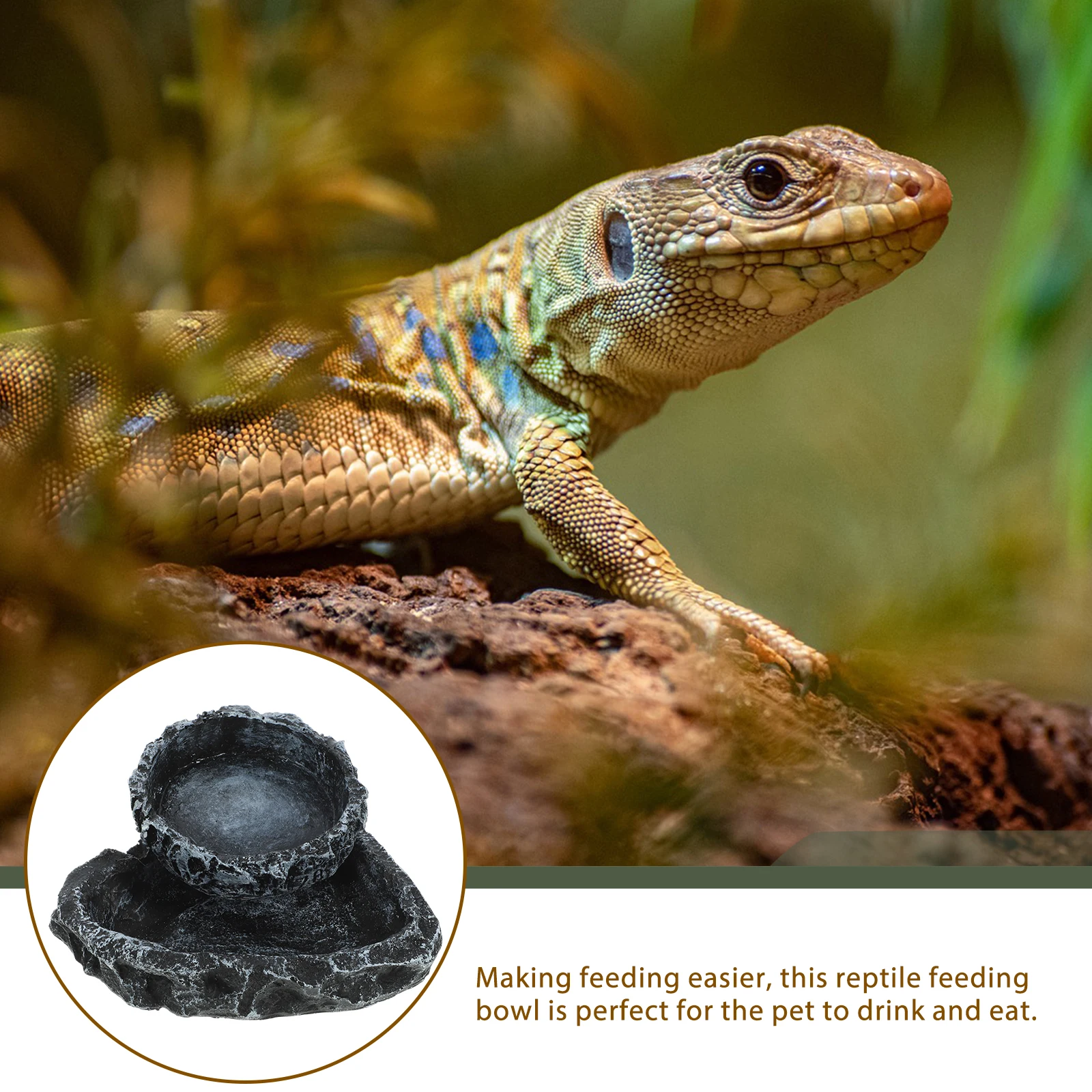 

2Pcs Reptile Water Basin Food Bowl Resin Pet Feeder for Gecko Snake Lizard Chameleon Tortoise Turtle Bearded Dragon Crawling
