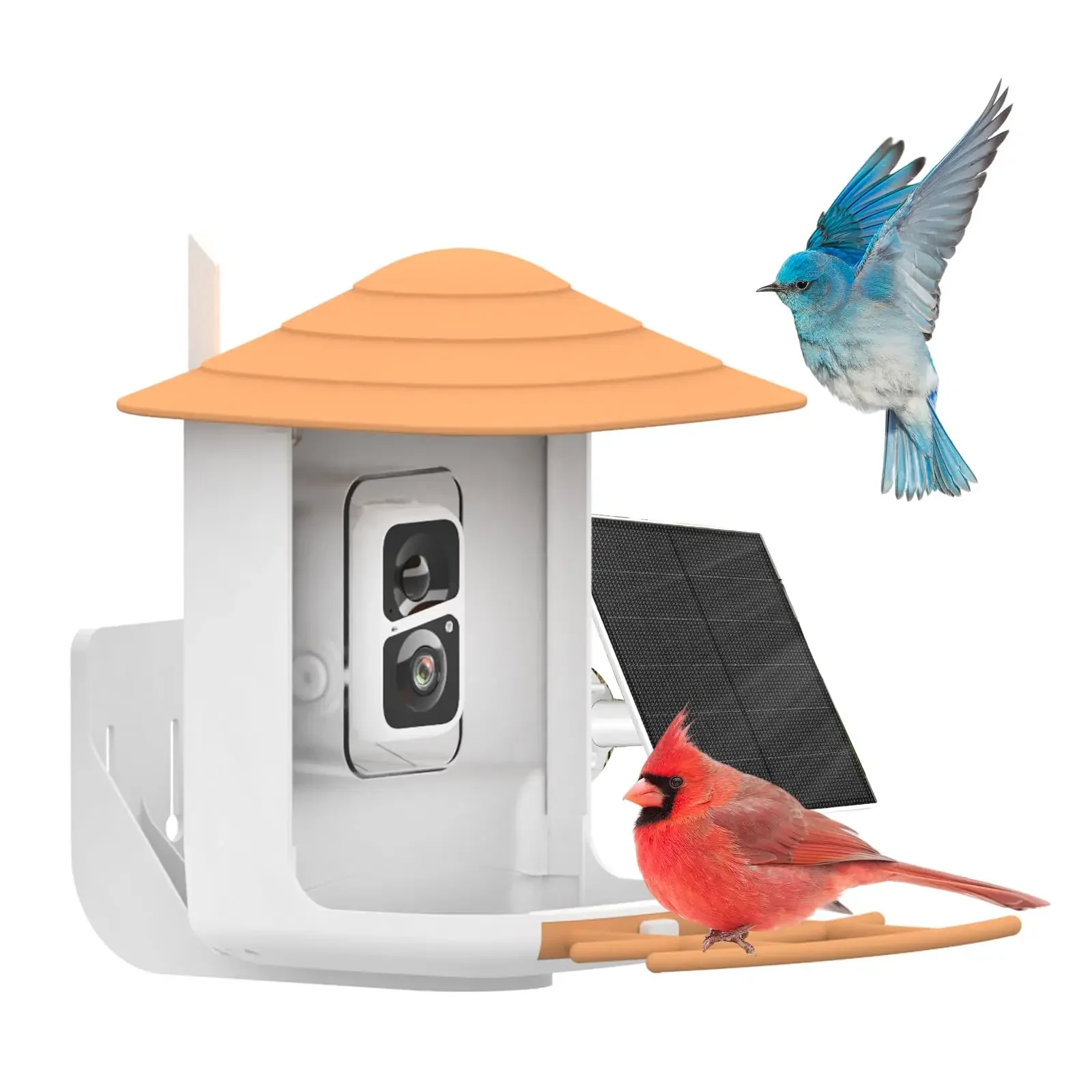 AI Recognition Smart Bird Feeder with 1080P Camera Pir Auto Record Bird Videos Smart AI Recognition for Bird Lover