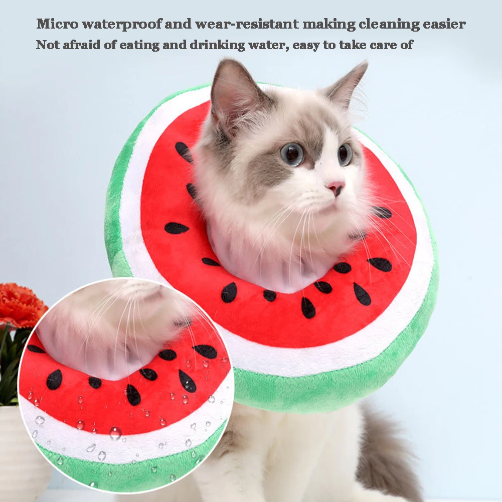 Cute Cat Dog Elizabethan Collar Pet Health Recovery Collar for Anti-Bite Wound Healing Protective Pet Cat Collar Pet Accessories