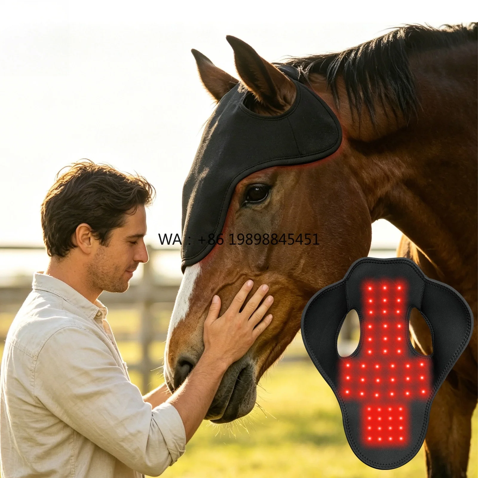 Horse Head Injuries & Fracture Healing Wearable Fabric & Polyester Custom 660nm 850nm 52-LED Red Light Device Wrap