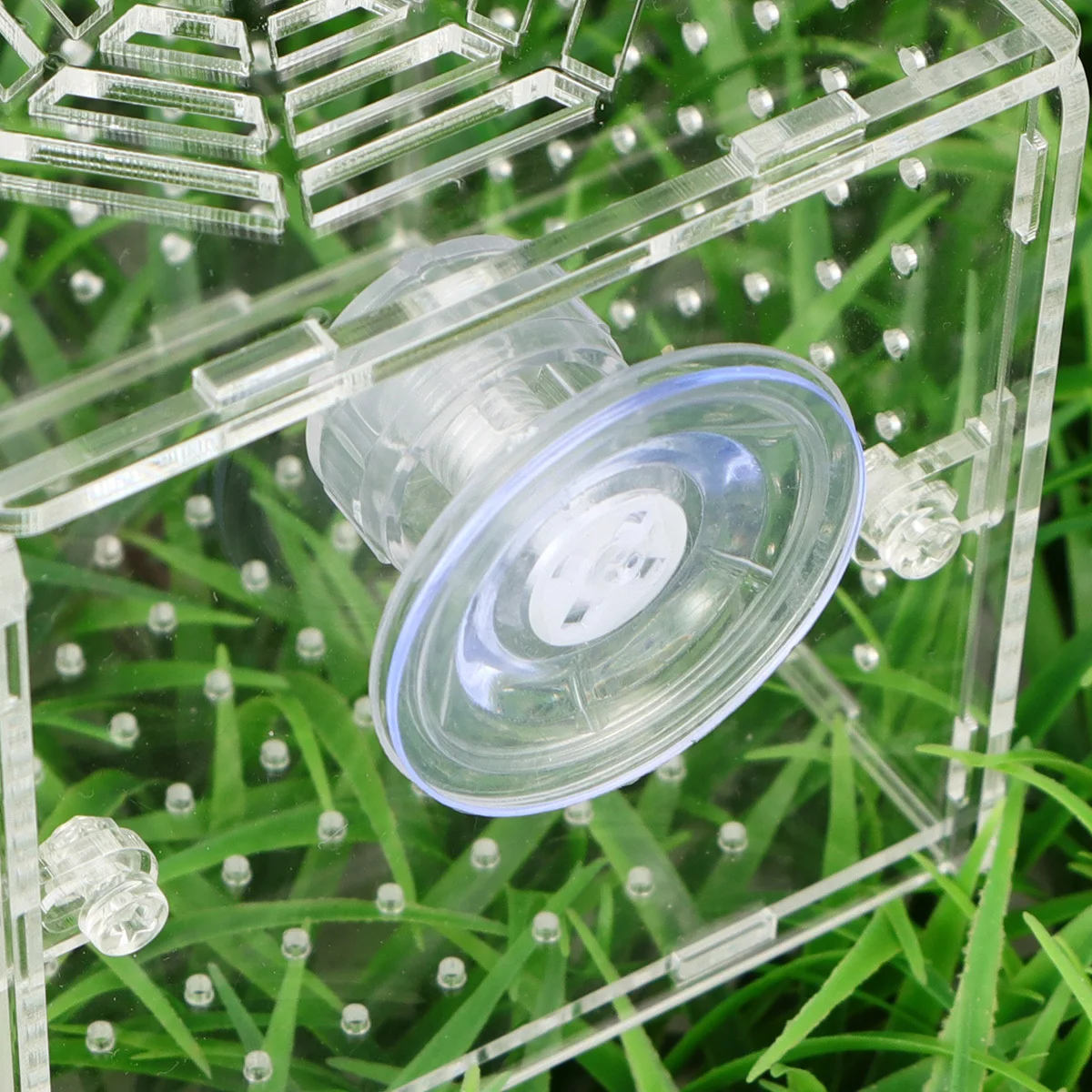 

Transparent Acrylic Isolation Box Fish Breeding Tank Incubator Hatching Box Fish Seedlings Case 10x10x10cm 2mm Round Hole