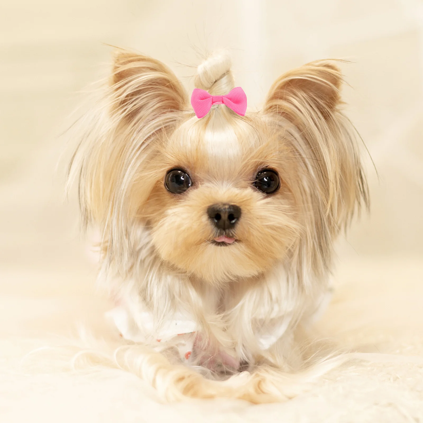 

16Pcs Pet Hair Bow Accessories Elastic Bands Solid Color Soft Comfortable Cute Grooming for Cats Dogs Daily Use