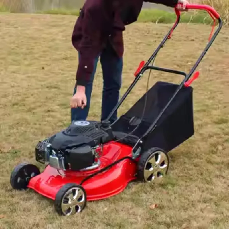 고품질 173cc 전기 잔디 깎는 기계 (잔디 및 정원용 산업/DIY 등급 전기 및 가스)