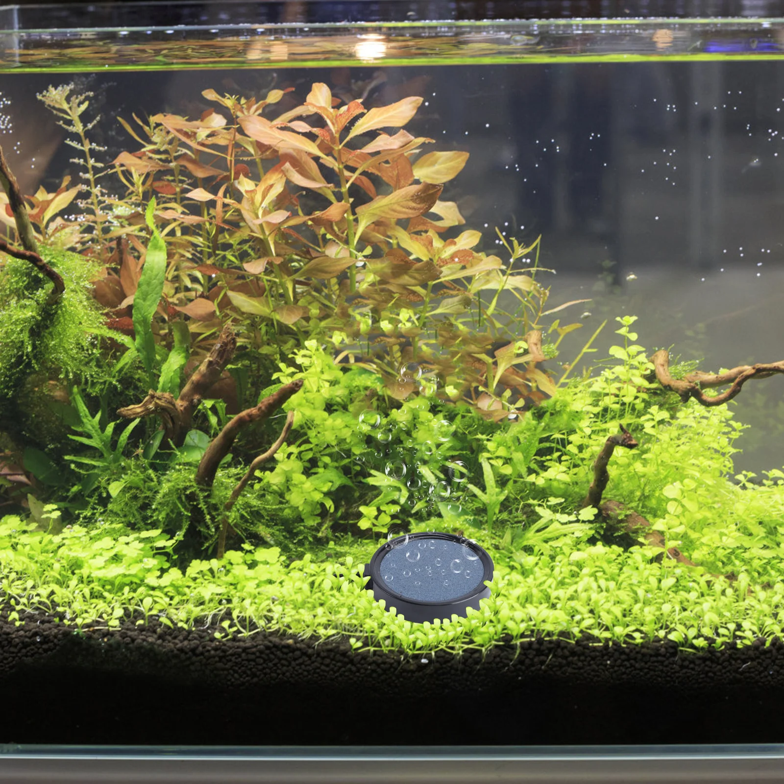 

1Pcs Long Lasting Bubble Stone for Aquarium Oxygen Aeration Fish Tank Air Stone Bubble Diffuser Fish Tank