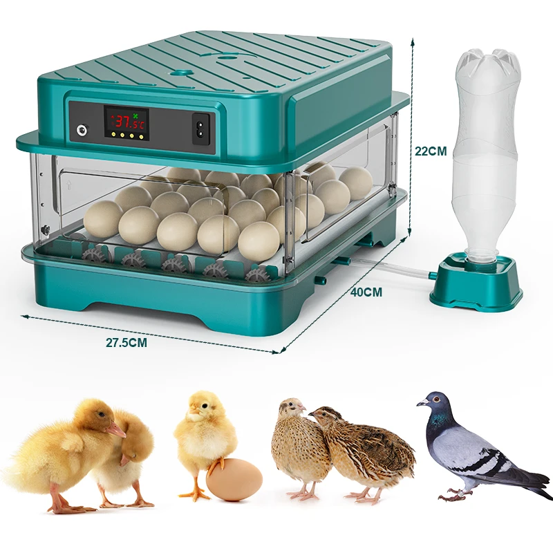 Fully Automatic  Chicken Quail Duck Goose Pigeon Egg Incubator 220V/110V/12V 24 Egg Hatching Incubator Machine view 3